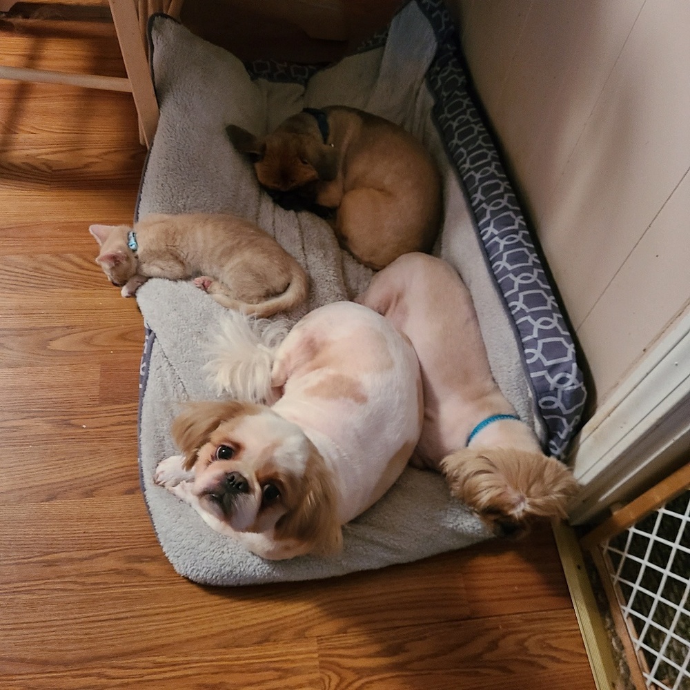 Meet your Posher, Sandra